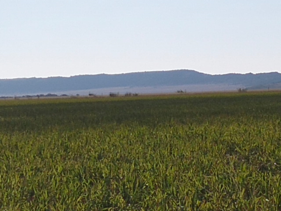 Commercial Property for Sale in Thaba Nchu Free State